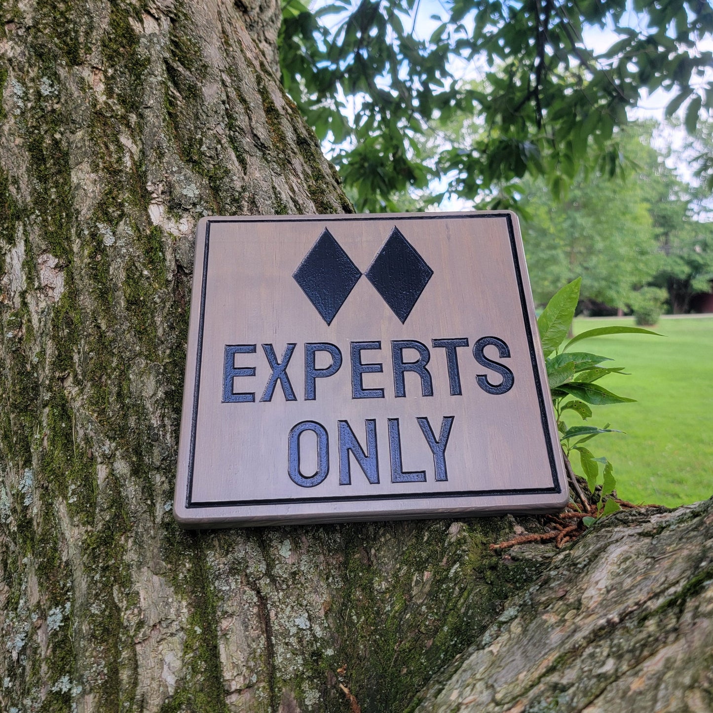 Small Trail Signs