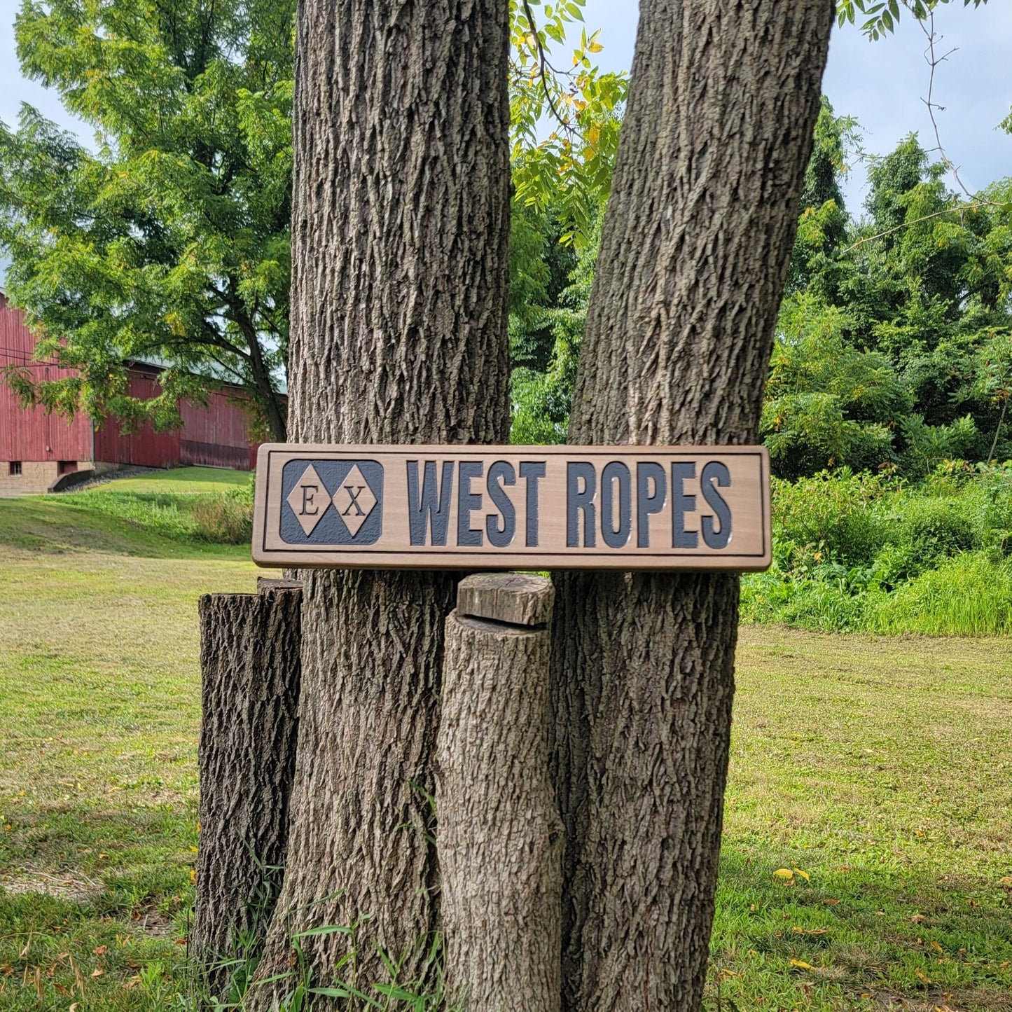 Medium Trail Sign