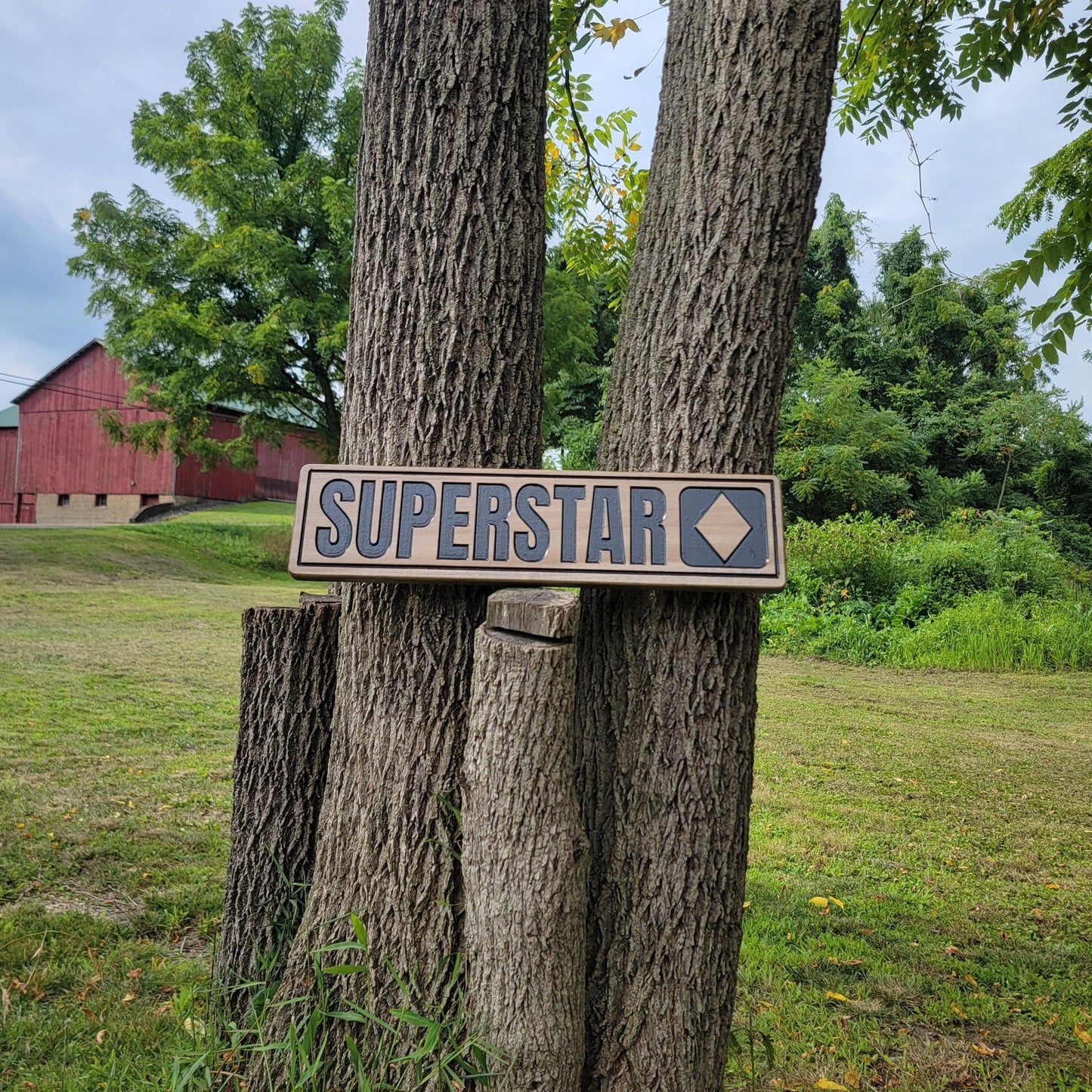 Medium Trail Sign