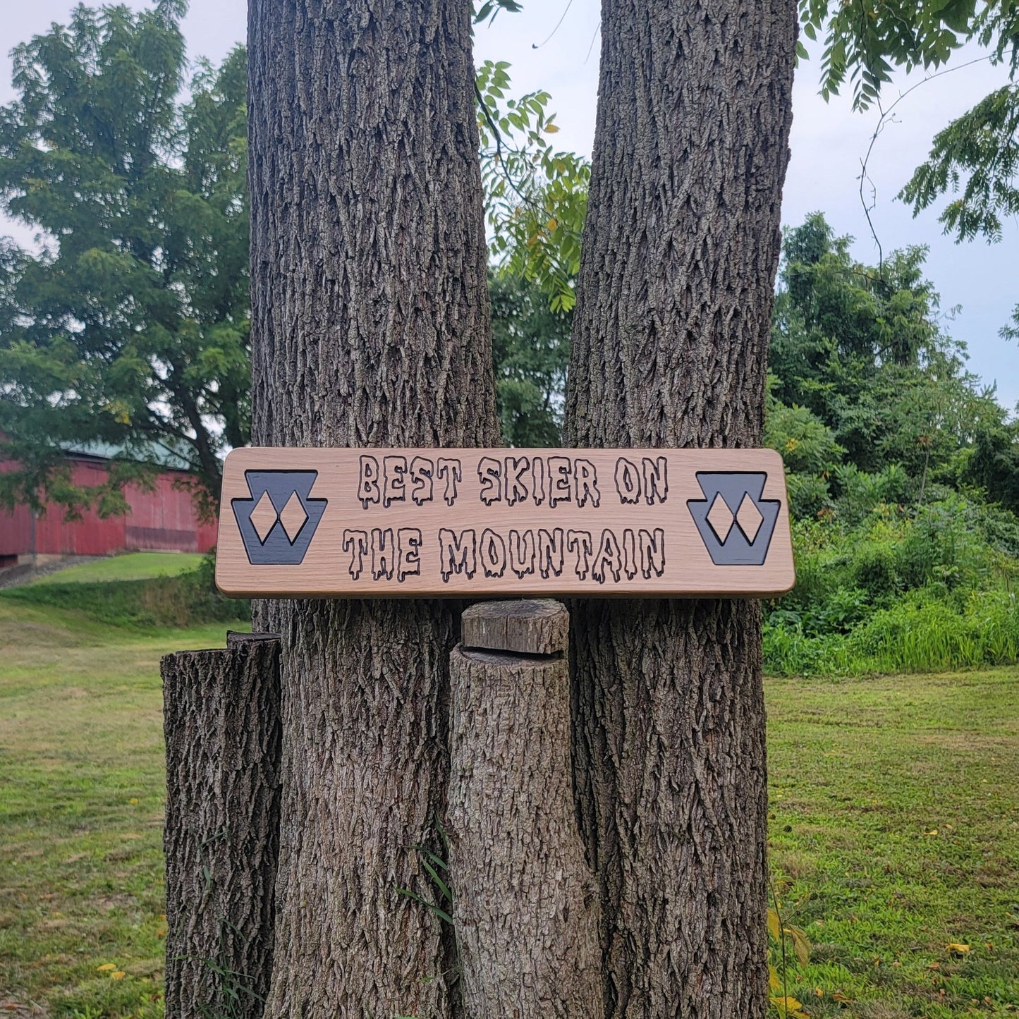 Large Trail Signs