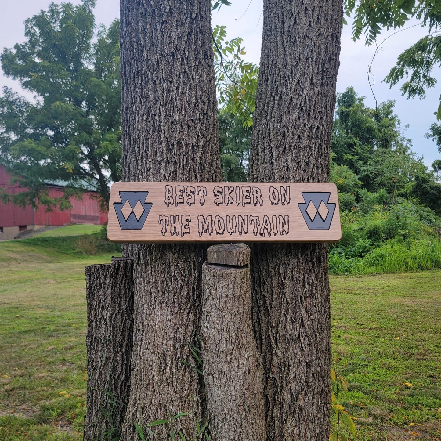 Medium Trail Sign