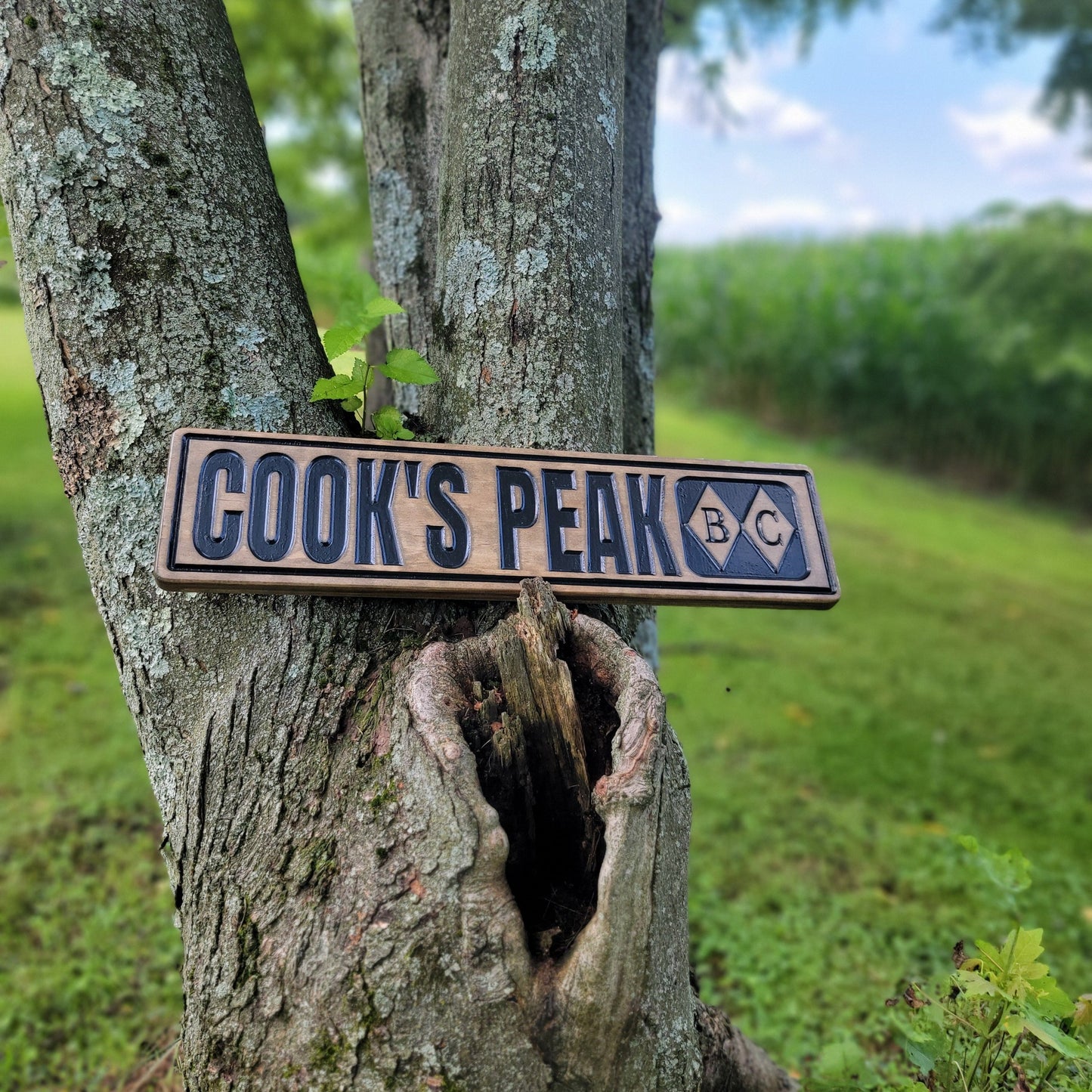 Small Trail Signs