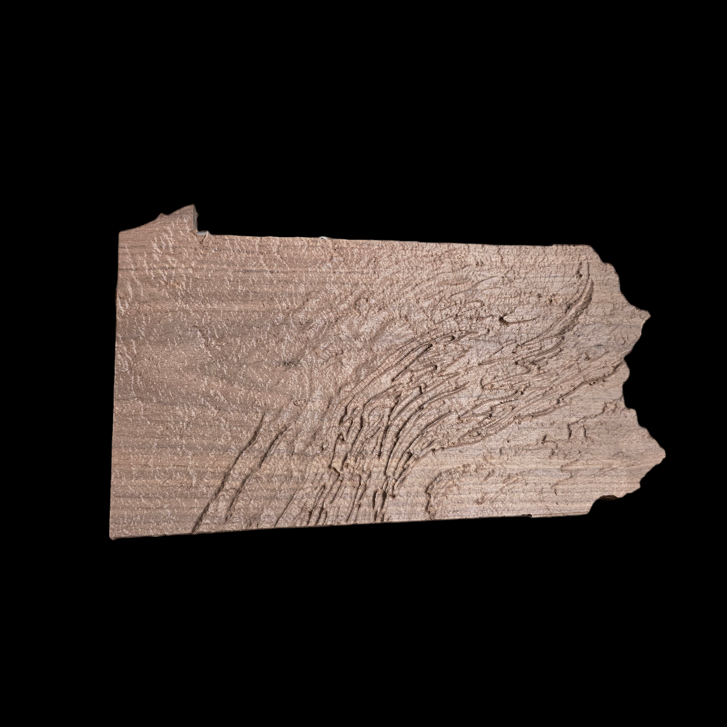 Topographic Map of Pennsylvania - Highly Detailed, Perfect for all Rooms!