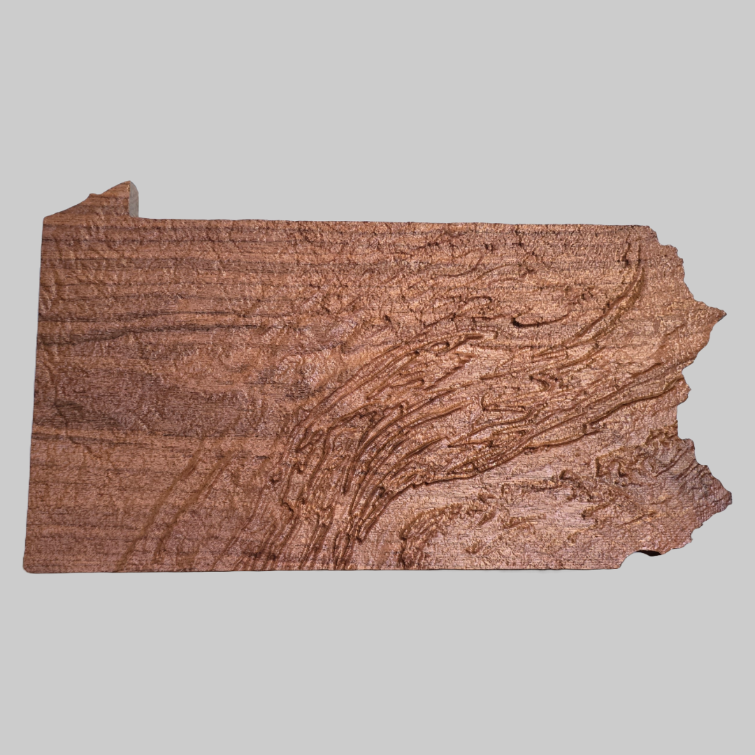 Topographic Map of Pennsylvania - Highly Detailed, Perfect for all Rooms!