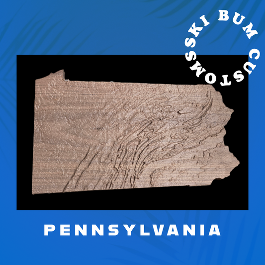 Topographic Map of Pennsylvania - Highly Detailed, Perfect for all Rooms!