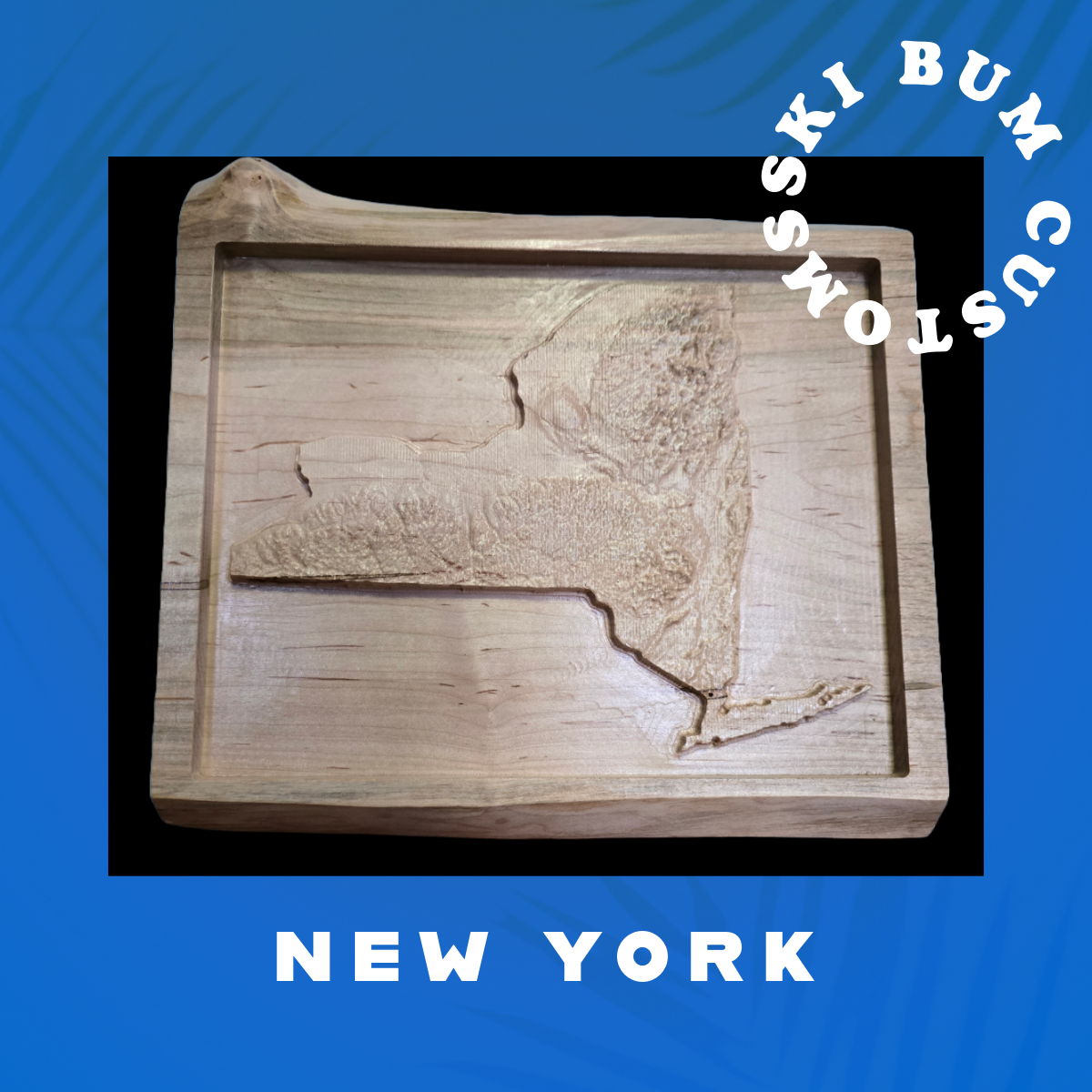 New York Topographic State Map